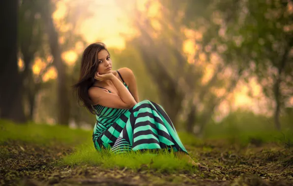 Download Wallpaper Grass Look Girl Sunset Nature Pose Dress