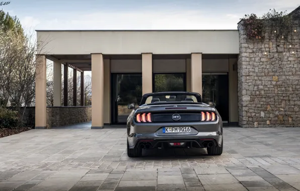 The building, Ford, convertible, rear view, 2018, dark gray, Mustang GT 5.0 Convertible
