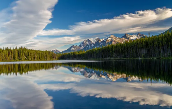 Forest, clouds, mountains, lake, reflection, Canada, Albert, Banff National Park