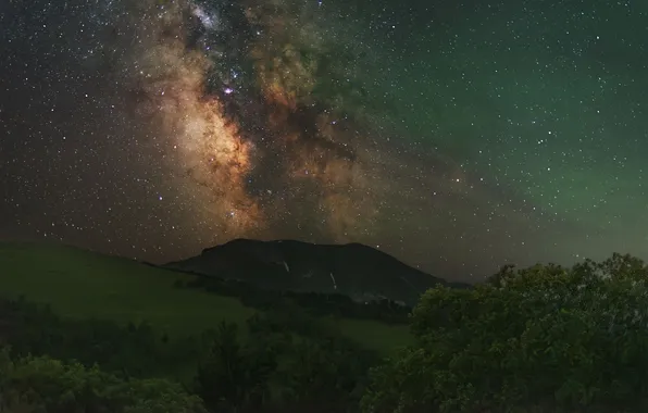 Trees, galaxy, the night sky, Kudashkina Ksenia, A riot of greenery, earthly and heavenly, atmospheric …
