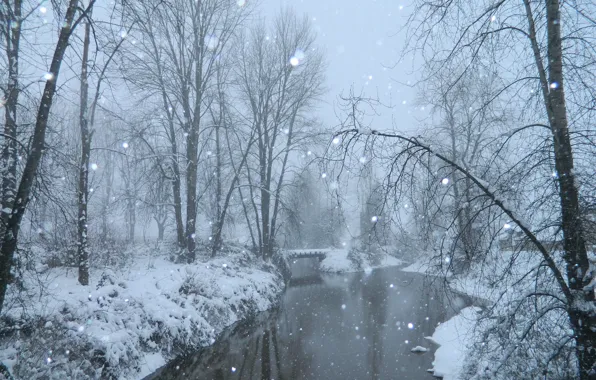 Winter, snow, trees, fog, pond, frost, Nature, the bridge