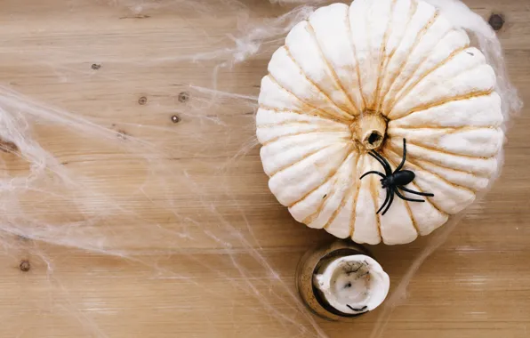 Holiday, web, spider, pumpkin, Halloween