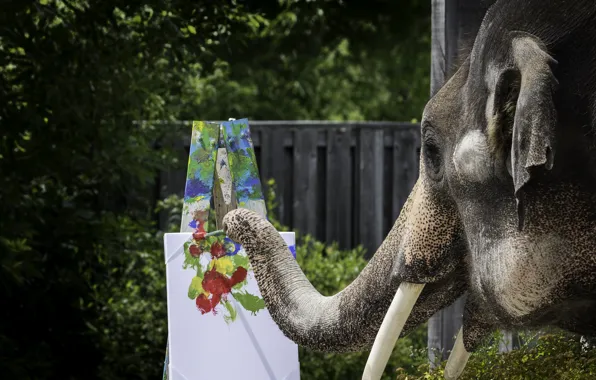 Picture paint, elephant, brush, trunk, easel