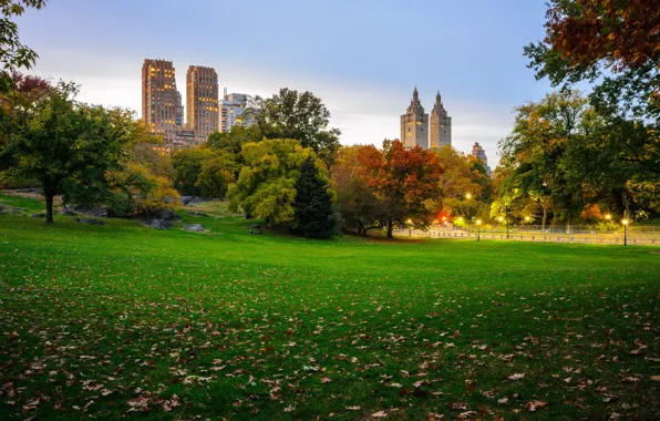 Autumn, leaves, trees, New York, lights, USA, skyscrapers, lawn