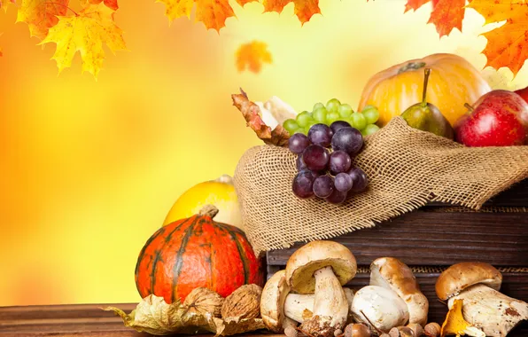 Picture autumn, leaves, apples, mushrooms, harvest, grapes, pumpkin, fruit