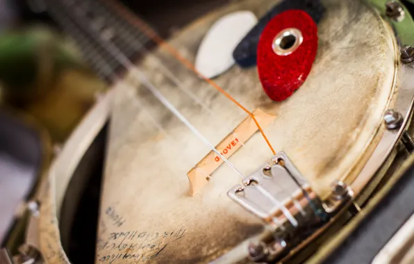 Hand Painted Vintage Banjo — Piper Nunn Art