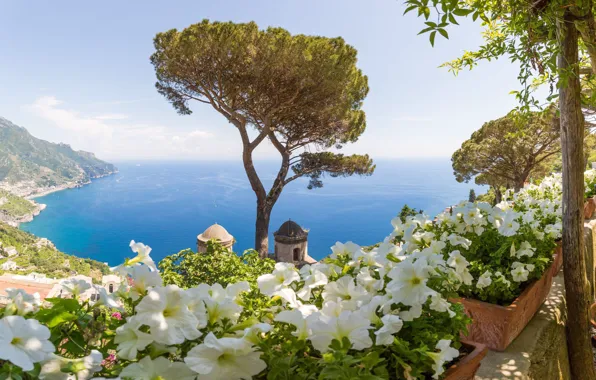 Sea, tree, Italy, Amalfi, Petunia, Ravello, Villa Rufolo