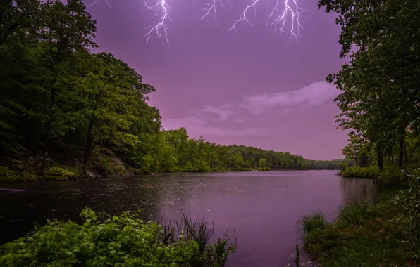 The storm, forest, trees, lake, lightning, New Jersey, New Jersey, Johnson Lake