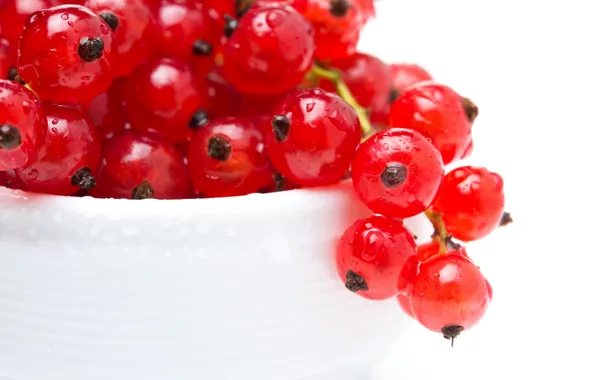 Drops, macro, berries, plate, red, currants