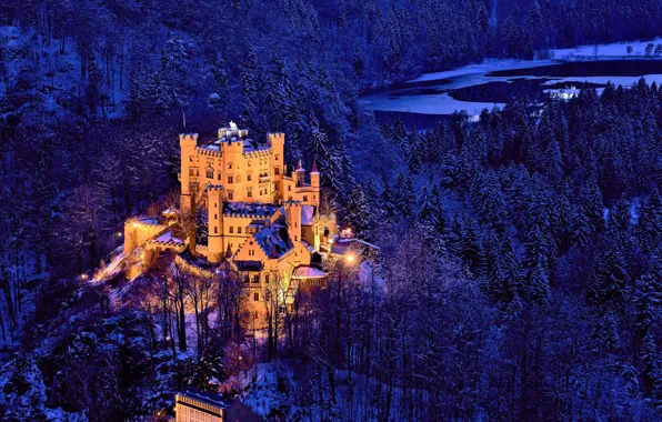 Winter, forest, trees, castle, Germany, Bayern, Germany, Bavaria