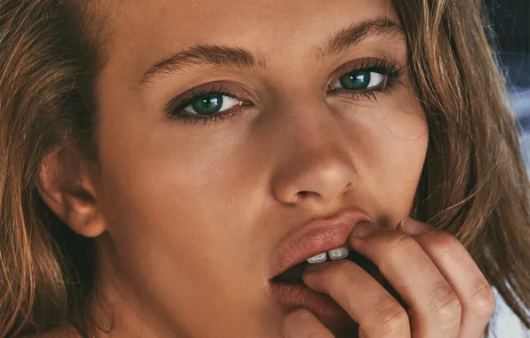Woman, young, eyes, brown, model, look, hand, nose