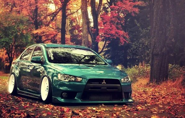 Autumn, forest, Lancer, Evo