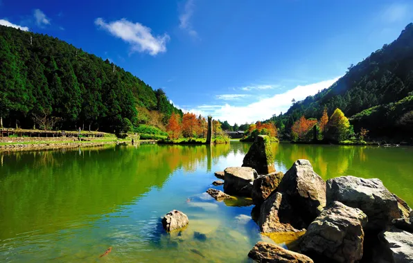 Picture the sky, trees, fish, lake, pond, stones, hills, moss