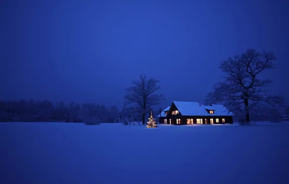 Winter, field, forest, snow, trees, night, house, space