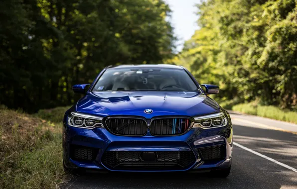 Picture BMW, Front, Face, Forest, Sight, F90, Deep Blue