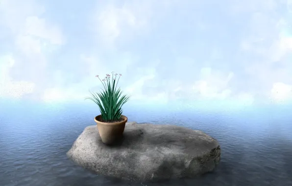 Water, clouds, plant, Stone, pot