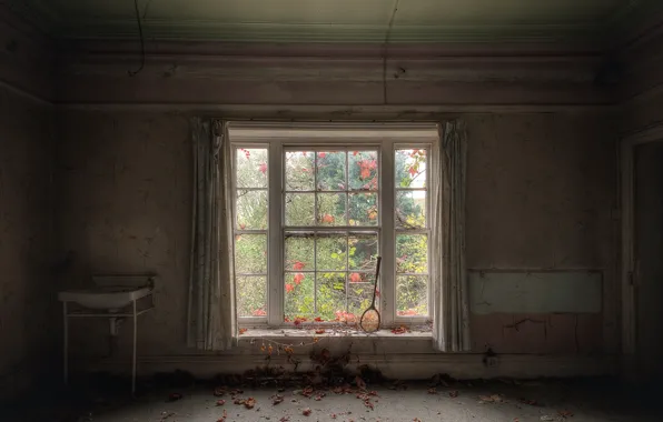 Room, window, racket