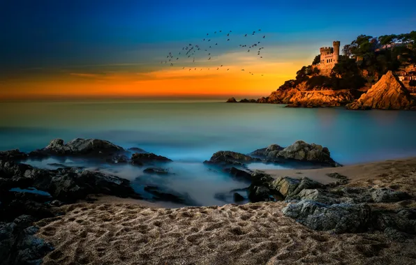 Sand, sea, beach, the sky, flight, landscape, sunset, birds