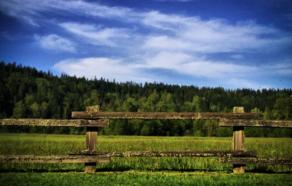 Picture greens, field, grass, nature, green, grass, Nature, field