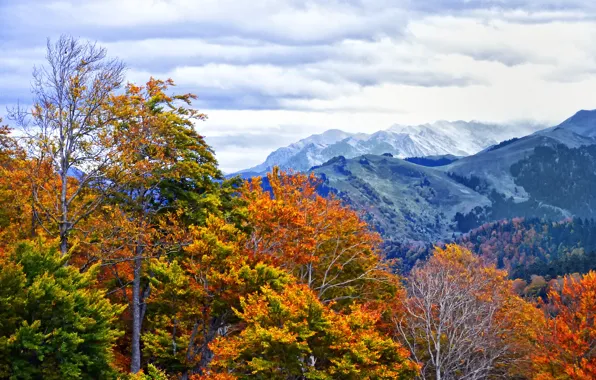 Picture autumn, the sky, clouds, trees, mountains