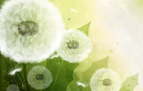 Seeds, dandelions, light background