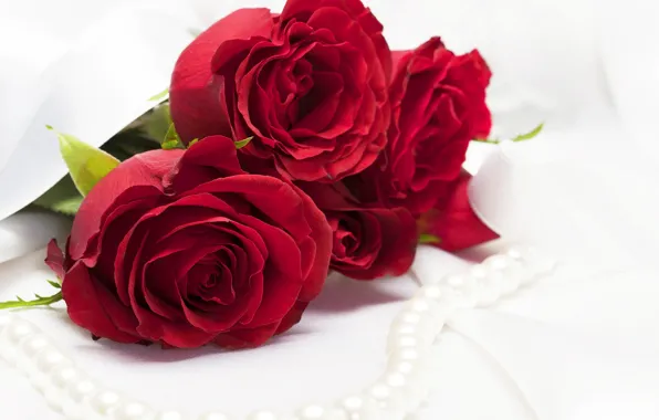Roses, red, pearl, beads