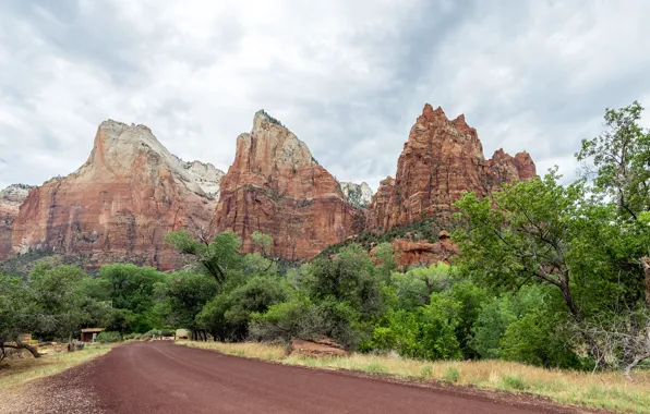 Road, cloud, park, mountain, tree, usa, national, utah