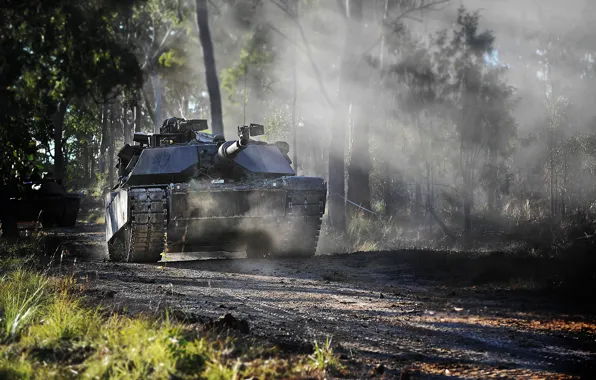 Picture forest, tank, USA, USA, military equipment, Abrams M1A1
