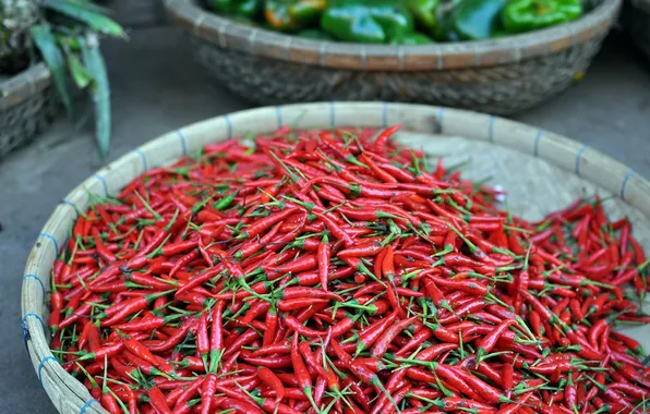 Picture red, chili, pepper, cambodia