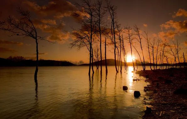 Picture the sky, the sun, trees, sunset, lake, hills