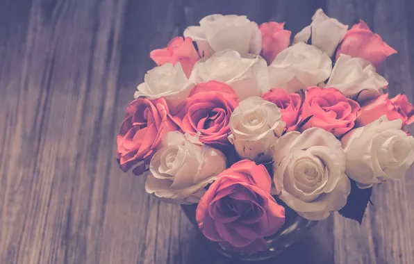 Background, roses, bouquet, buds