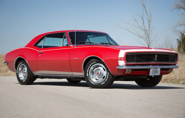 Picture red, camaro, 1967, chevy