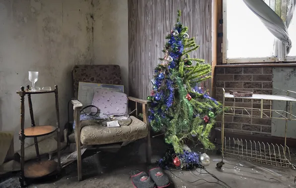 House, mess, holiday, tree