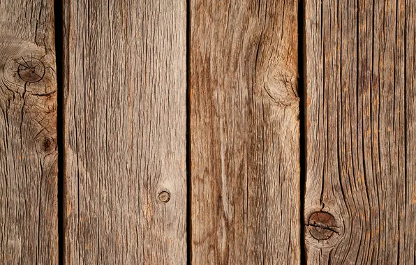 Tree, Board, old, texture