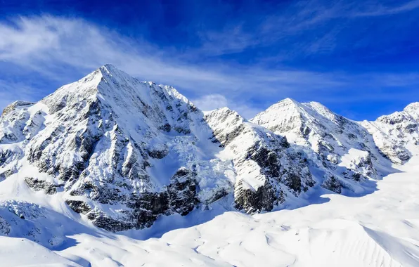 Picture landscape, winter, snow