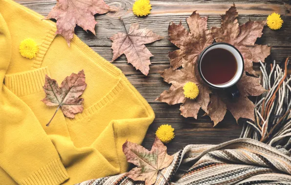 Autumn, leaves, background, tree, coffee, colorful, Cup, wood