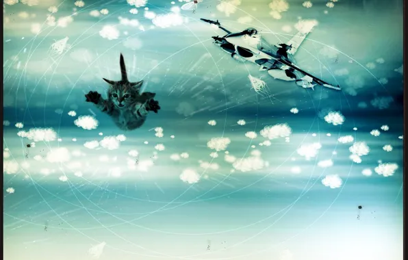 Picture clouds, line, flight, butterfly, dreams, cats, circles, joy
