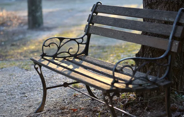 Bench, photo, city, tree, mood, street, shop, benches