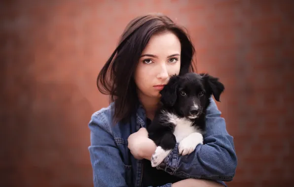 Girl, dog, puppy