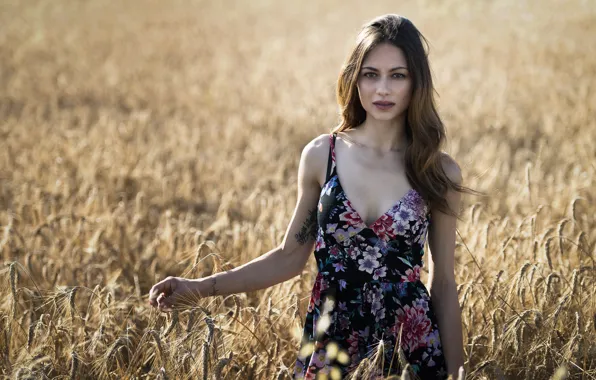 Picture face, model, dress, beauty, Erika