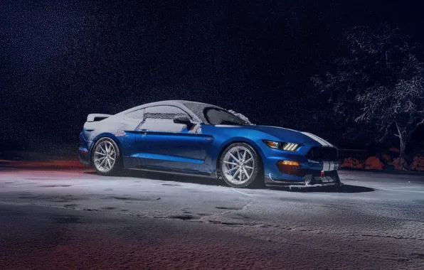 Ford Mustang, blue, night, muscle car, snow