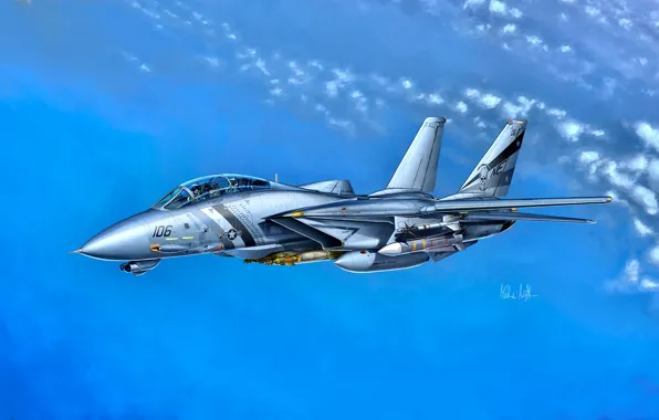USA, F-14, US Navy, Grumman F-14D Super Tomcat, VF-2