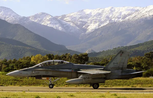 Canada, Douglas, McDonnell, F/A-18 Hornet, American carrier-based fighter-bomber