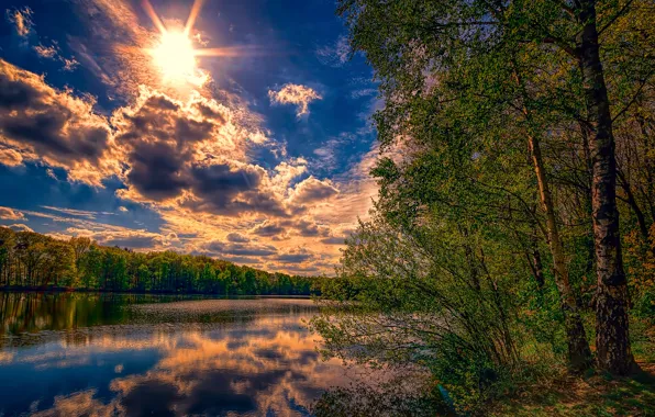 Picture the sky, the sun, clouds, rays, trees, reflection, river
