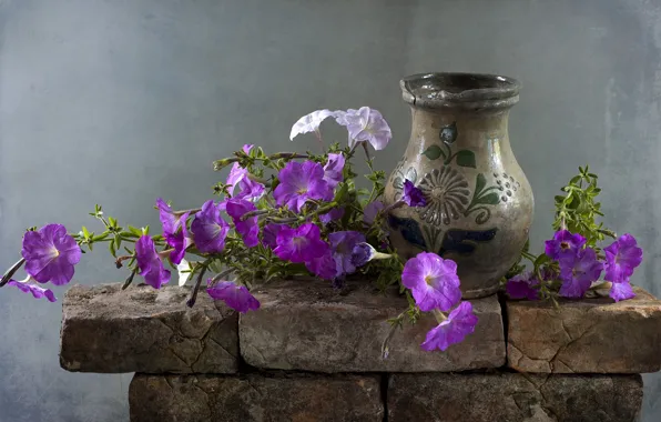 Flowers, vase, Petunia