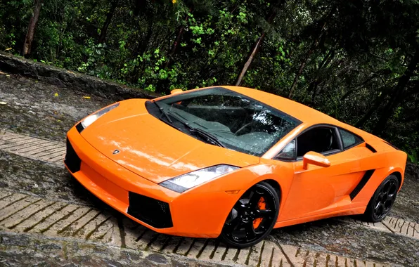 Orange, Lamborghini, Gallardo