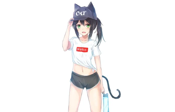 Picture girl, white background, neko, kitty