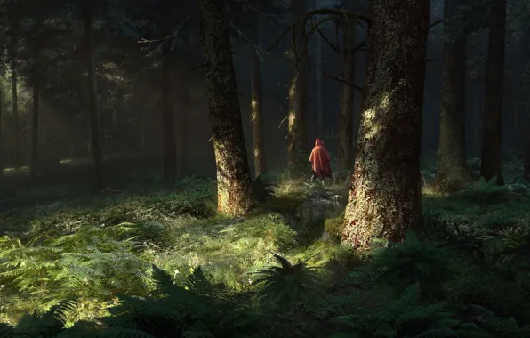 Forest, trees, people, twilight, fern
