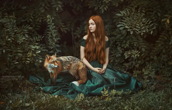Picture girl, pose, dress, Fox, red, redhead, the bushes, long hair