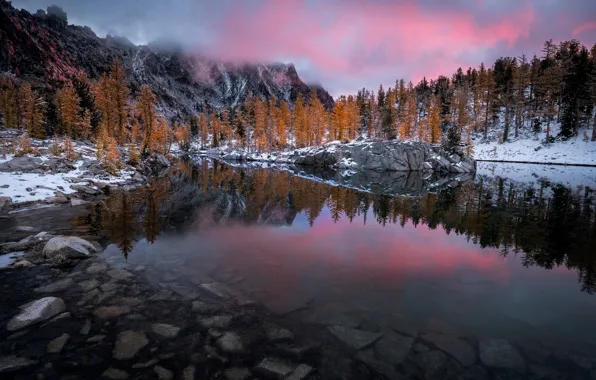 Forest, the sky, lake, rocks, natures